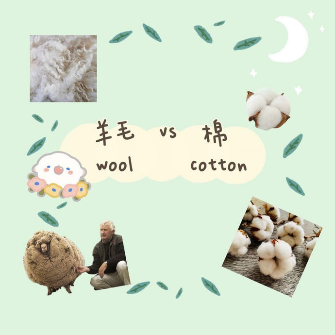 襪仔小知識socks knowledge (羊毛同棉嘅分別 the difference between wool and cotton) ♡