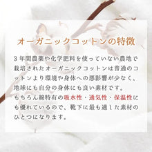 Load image into gallery viewer 【New 2022】Made in Japan, Natural Vegetable Dye Socks (Intervals Style)