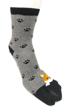 Load image into gallery viewer Japanese Shiba Inu Tabi Socks Type B