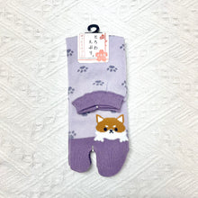 將圖片載入圖庫檢視器 日本製柴犬分趾襪 B款
