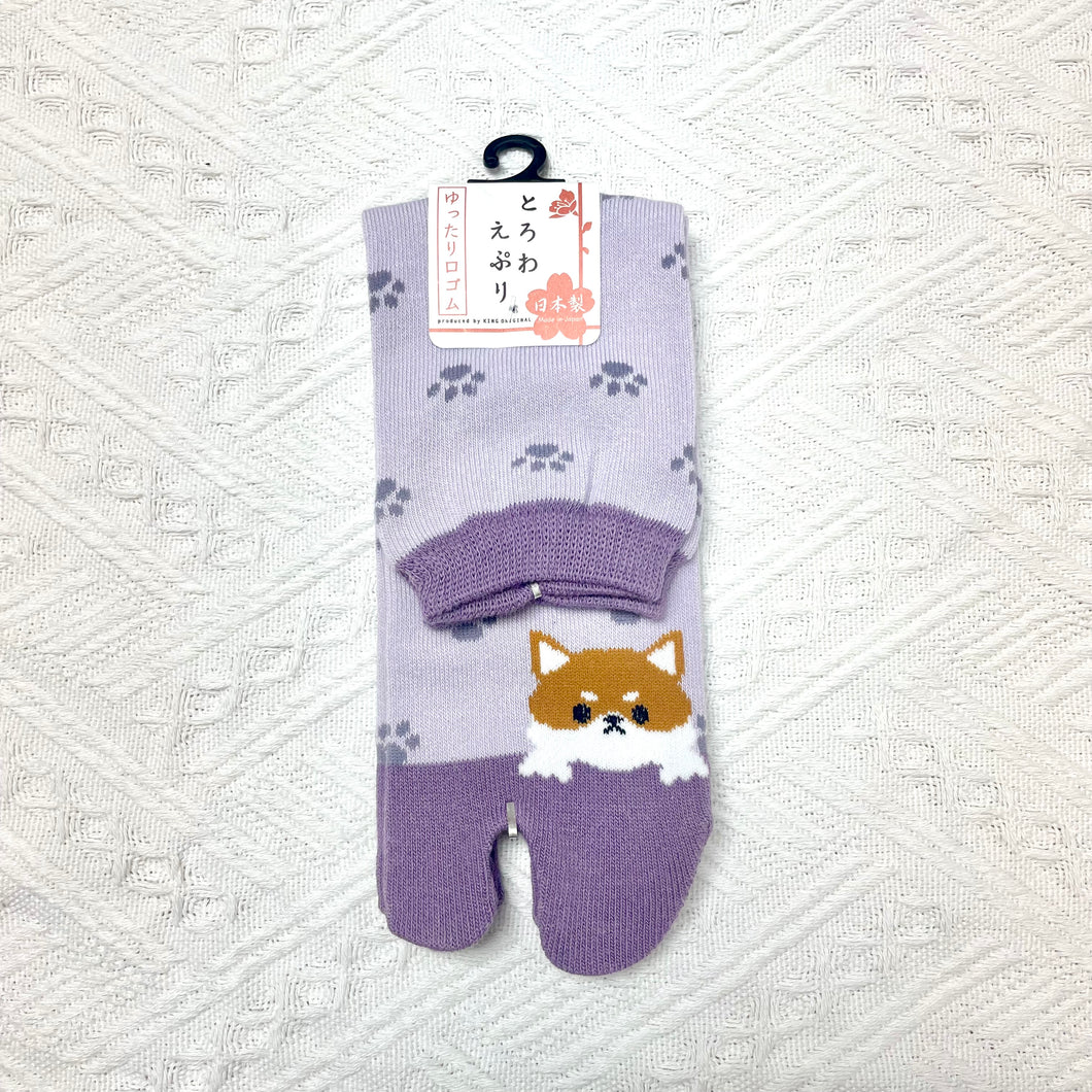 日本製柴犬分趾襪 B款