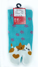 Load image into gallery viewer Japanese-made Cats Split Toe Socks
