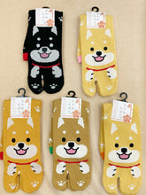 Load image into gallery viewer Japanese Shiba Inu Split Toe Socks
