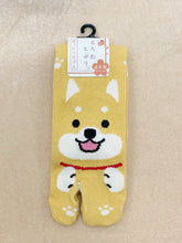 Load image into gallery viewer Japanese Shiba Inu Split Toe Socks
